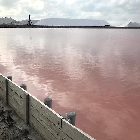 Le Clos Des Vignes Junas المظهر الخارجي الصورة