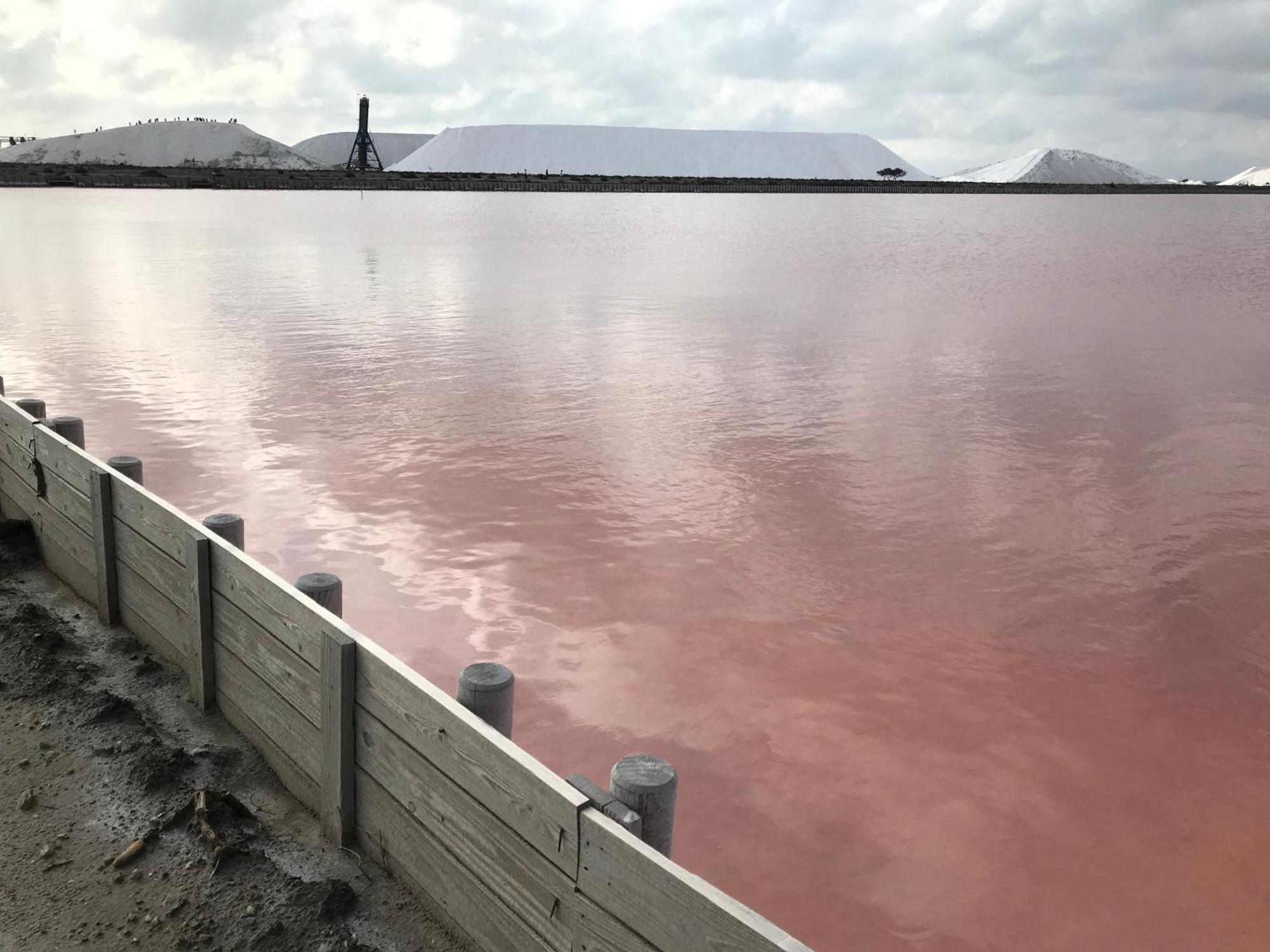 Le Clos Des Vignes Junas المظهر الخارجي الصورة